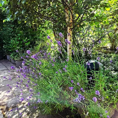 Nyaraló Irenes Anneks *