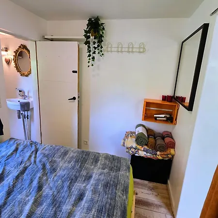 Irenes Anneks ניבורג