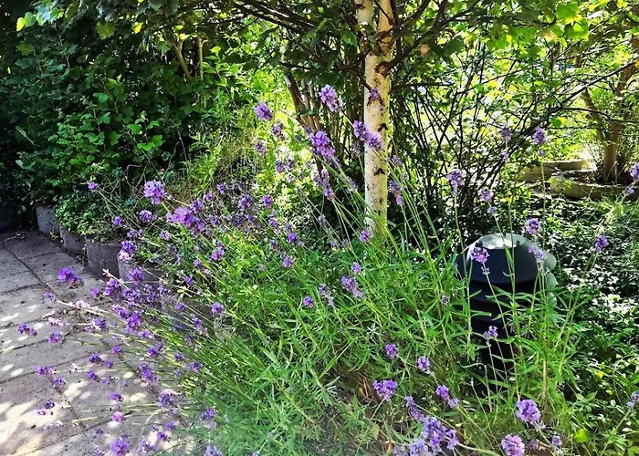 Casa de Férias Irenes Anneks *